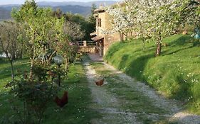 Podere La Vigna